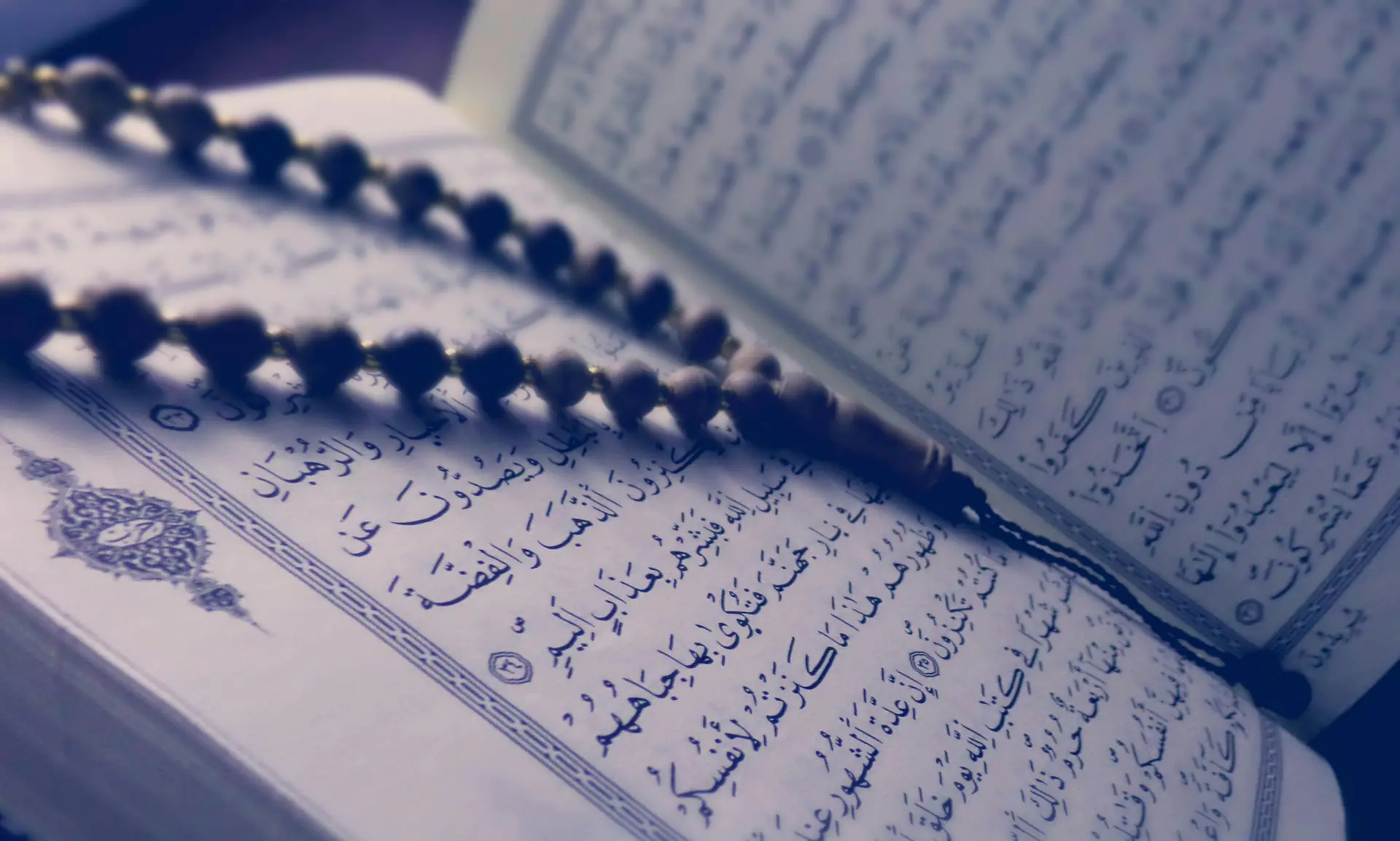 Quran with Tajweed